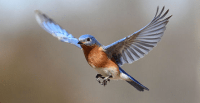 Screen Shot 2015-08-23 at 11.06.38 AM