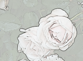 Screen Shot 2016-06-07 at 3.20.56 PM